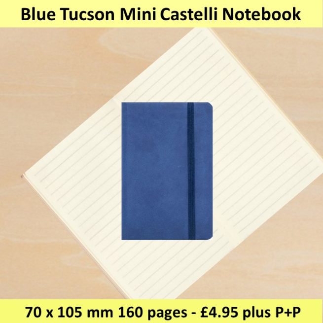 20211214 Tucson Mini Blue